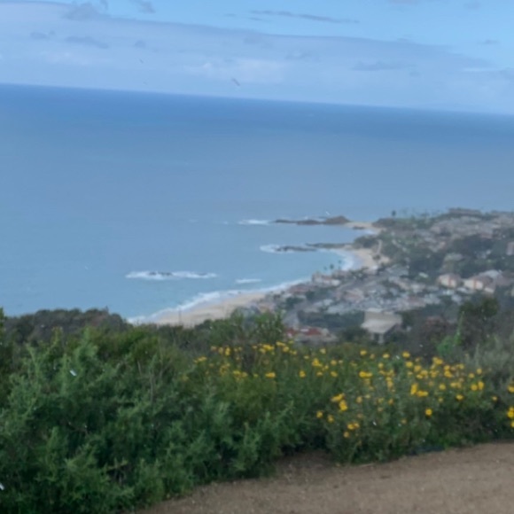 Meet your Posher, Lauren - Picture 1 of 1